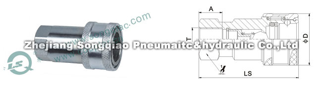 1686904284165878.jpg 121112093125043356y22dmkyvn2vo.jpg