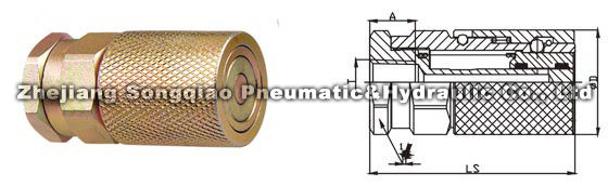 1686905491676595.jpg 120829180611373680vzf78jsvjhpx.jpg